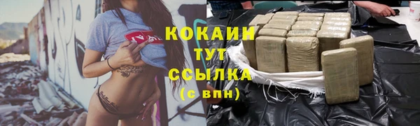 мет Ладушкин