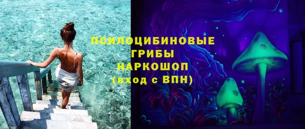 мет Ладушкин
