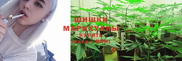 мет Ладушкин