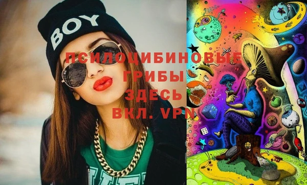 мет Ладушкин