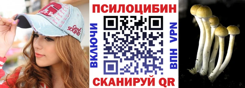 где найти   ОМГ ОМГ зеркало  Псилоцибиновые грибы мицелий  Горячеводский 